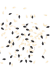 DeWatermark.ai_1747825371901-removebg-preview