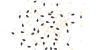 DeWatermark.ai_1747825371901-removebg-preview